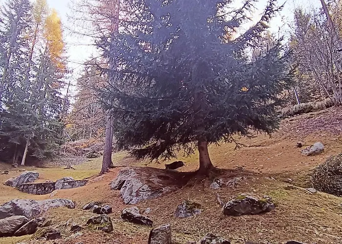 Apartment La Casa Di Paola